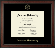Andrews University Gold Embossed Diploma Frame in Studio