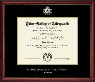 Palmer College of Chiropractic Florida diploma frame - Masterpiece Medallion Diploma Frame in Kensington Gold