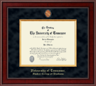 The University of Tennessee Knoxville Presidential Masterpiece Diploma Frame in Jefferson
