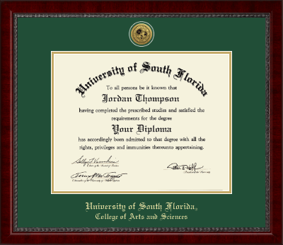 University of South Florida diploma frame - Gold Engraved Medallion Diploma Frame in Sutton