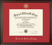 Davis & Elkins College Gold Embossed Diploma Frame in Studio