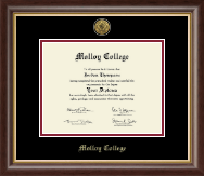 Molloy College Gold Engraved Medallion Diploma Frame in Hampshire