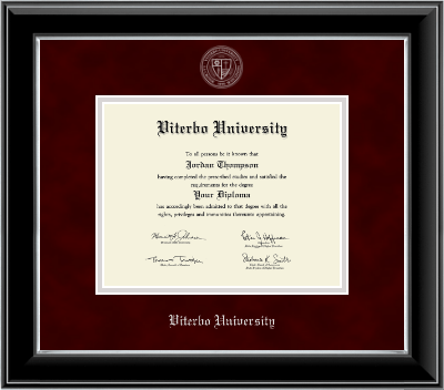 Viterbo University diploma frame - Silver Embossed Diploma Frame in Onyx Silver