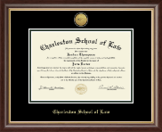 Charleston School of Law Gold Engraved Medallion Diploma Frame in Hampshire