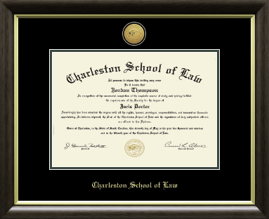 Charleston School of Law diploma frame - Gold Engraved Medallion Diploma Frame in Hampshire