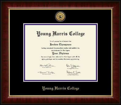 Young Harris College diploma frame - Gold Engraved Medallion Diploma Frame in Murano