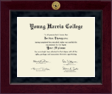 Young Harris College Millennium Gold Engraved Diploma Frame in Cordova