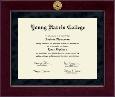 Young Harris College diploma frame - Millennium Gold Engraved Diploma Frame in Cordova