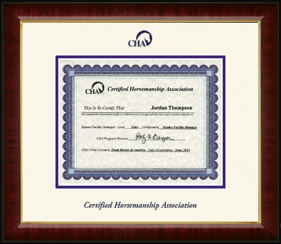 Certified Horsemanship Association certificate frame - Dimensions Certificate Frame in Murano