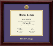 Elmira College Gold Engraved Medallion Diploma Frame in Gallery