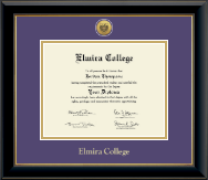 Elmira College Gold Engraved Medallion Diploma Frame in Onyx Gold