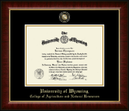 University of Wyoming diploma frame - Masterpiece Medallion Diploma Frame in Murano
