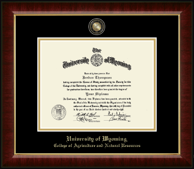 University of Wyoming diploma frame - Masterpiece Medallion Diploma Frame in Murano