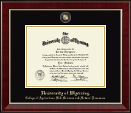 University of Wyoming diploma frame - Masterpiece Medallion Diploma Frame in Murano