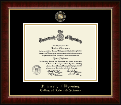 University of Wyoming diploma frame - Masterpiece Medallion Diploma Frame in Murano