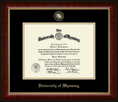 University of Wyoming diploma frame - Masterpiece Medallion Diploma Frame in Murano
