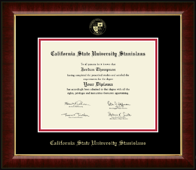 California State University Stanislaus diploma frame - Gold Embossed Diploma Frame in Murano