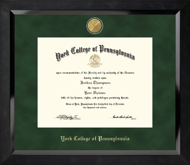 York College of Pennsylvania diploma frame - 23K Medallion Diploma Frame in Eclipse