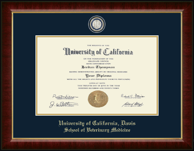 University of California Davis diploma frame - Masterpiece Medallion Diploma Frame in Murano