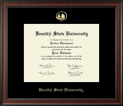 Bemidji State University diploma frame - Gold Embossed Diploma Frame in Studio