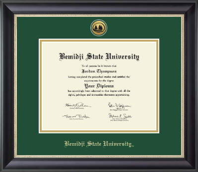 Bemidji State University diploma frame - Gold Engraved Medallion Diploma Frame in Noir