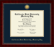 University of South Florida diploma frame - Gold Engraved Medallion Diploma Frame in Sutton