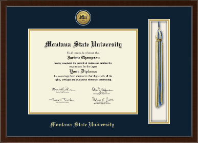Montana State University Bozeman diploma frame - Gold Engraved Tassel & Cord Diploma Frame in Delta