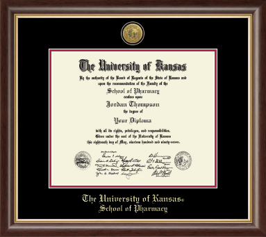 The University of Kansas diploma frame - Gold Engraved Medallion Diploma Frame in Hampshire
