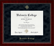 Valencia College Gold Embossed Diploma Frame in Sutton