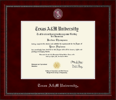 Texas A&M University diploma frame - Pewter Masterpiece Medallion Diploma Frame in Sutton