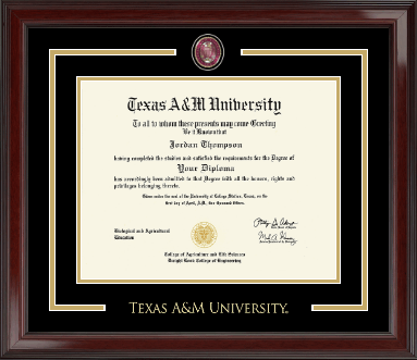 Texas A&M University diploma frame - Showcase Edition Diploma Frame in Encore