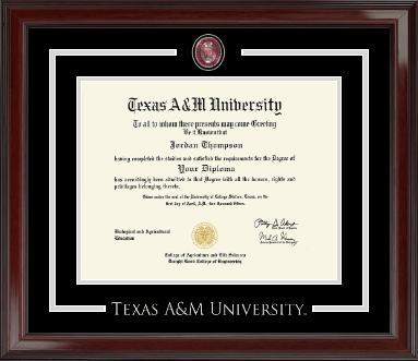 Texas A&M University diploma frame - Showcase Edition Diploma Frame in Encore