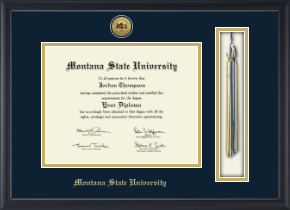 Gold Engraved Tassel & Cord Diploma Frame
