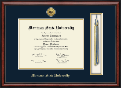 Montana State University Bozeman diploma frame - Gold Engraved Tassel & Cord Diploma Frame in Southport