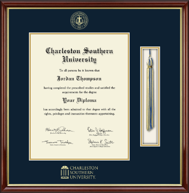 Charleston Southern University diploma frame - Tassel & Cord Diploma Frame in Southport Gold