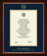 Rice University Gold Embossed Diploma Frame in Murano