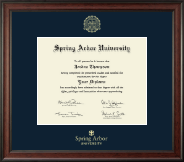 Spring Arbor University Gold Embossed Diploma Frame in Studio