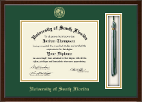 University of South Florida diploma frame - Tassel Edition Diploma Frame in Delta