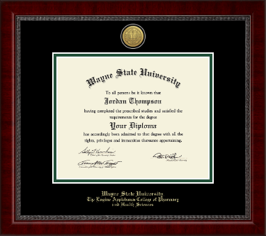Wayne State University diploma frame - Gold Engraved Medallion Diploma Frame in Sutton