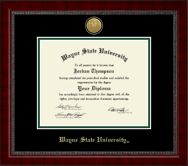 Wayne State University diploma frame - Gold Engraved Medallion Diploma Frame in Sutton