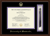 University of Montevallo diploma frame - Tassel & Cord Diploma Frame in Delta