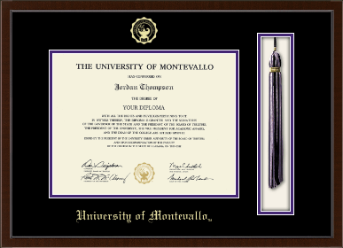 University of Montevallo diploma frame - Tassel & Cord Diploma Frame in Delta