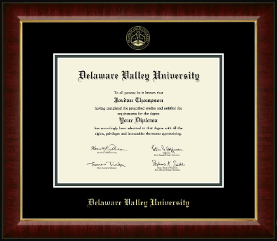 Delaware Valley University diploma frame - Gold Embossed Diploma Frame in Murano