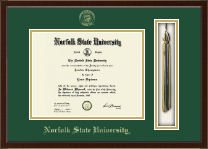 Norfolk State University diploma frame - Tassel & Cord Diploma Frame in Delta