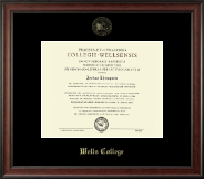 Wells College diploma frame - Gold Embossed Diploma Frame in Studio