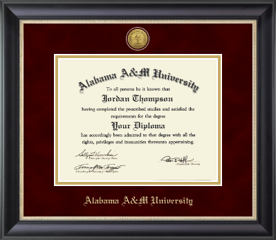 Alabama A&M University diploma frame - Gold Engraved Medallion Diploma Frame in Noir