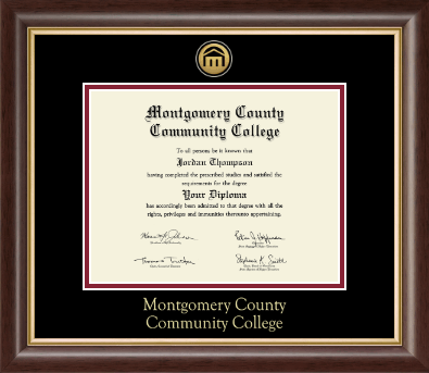 Montgomery County Community College diploma frame - Gold Engraved Medallion Diploma Frame in Hampshire