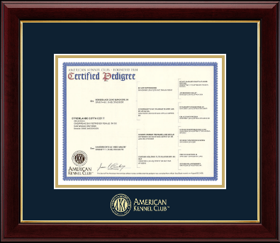 American Kennel Club certificate frame - Gold Embossed Pedigree Frame in Gallery