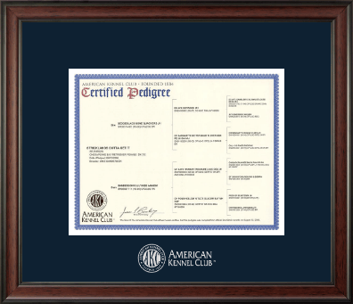 American Kennel Club certificate frame - Silver Embossed Pedigree Frame in Studio