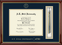 A.T. Still University Tassel Edition Diploma Frame in Southport Gold